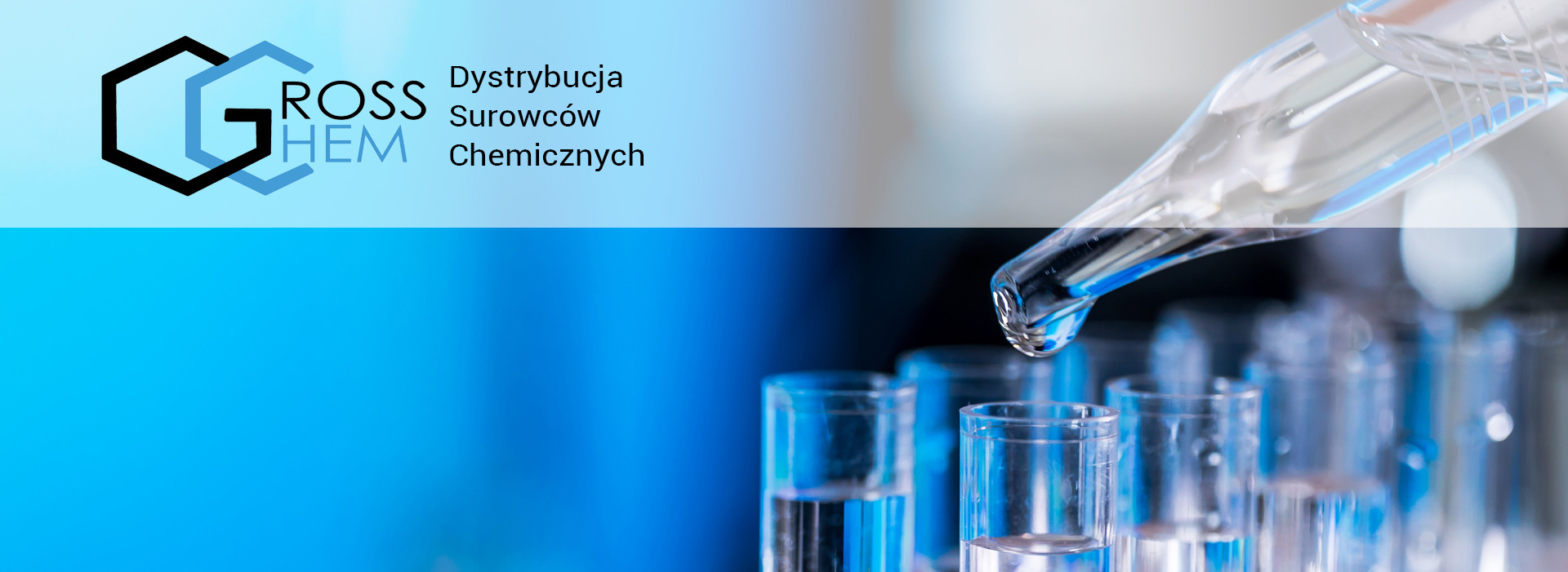baner - strona główna, Grosschem.pl